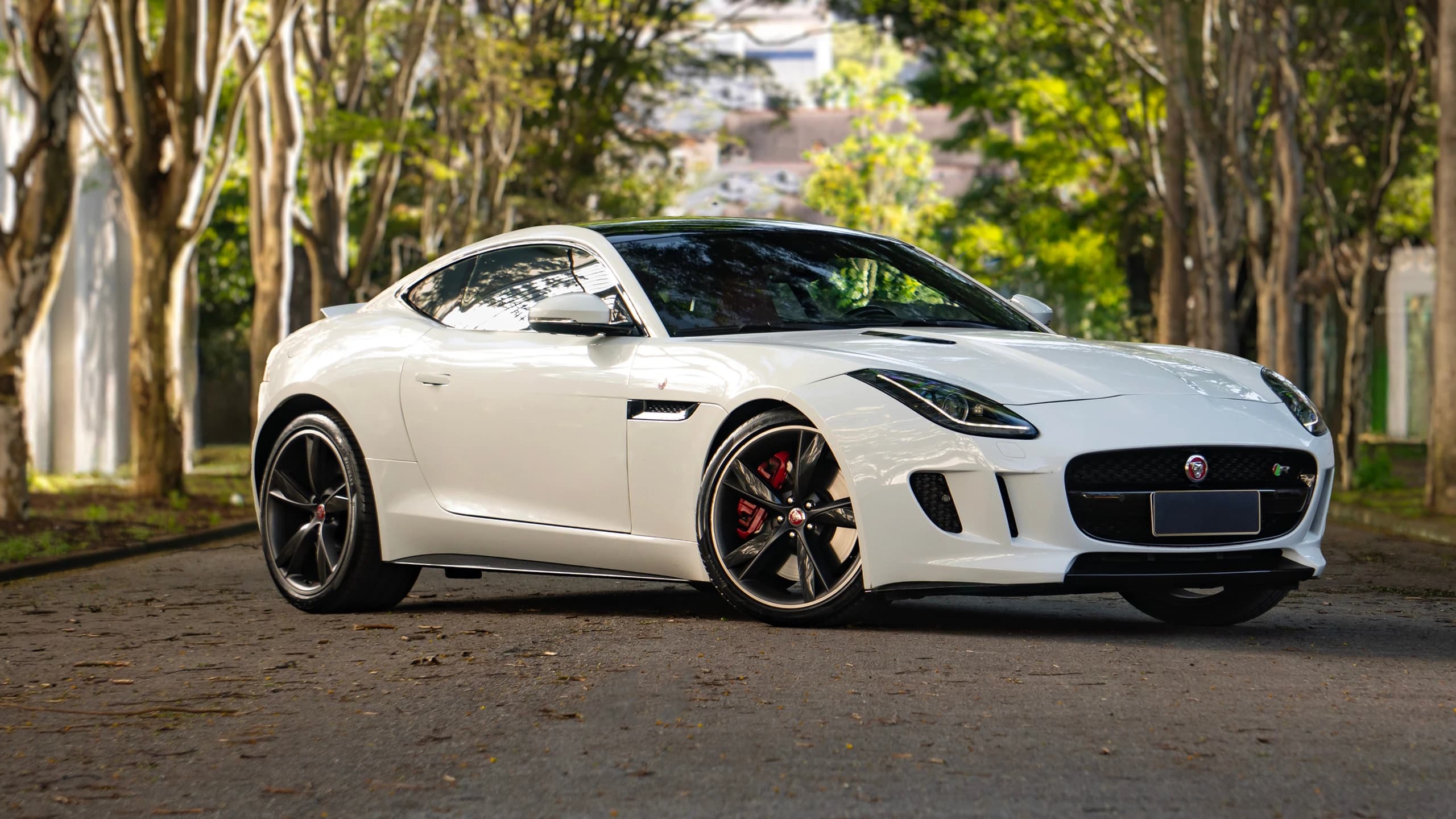 Vérification du carnet d'entretien Jaguar