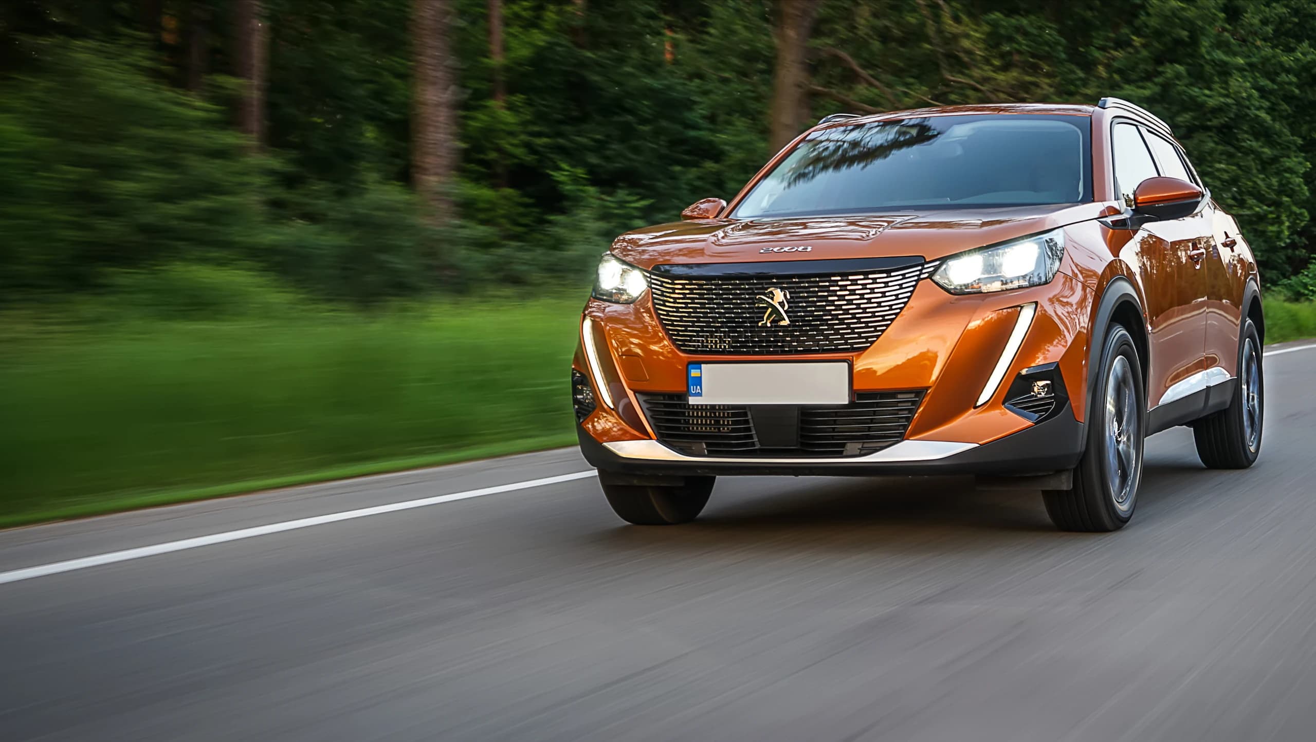 Vérification du carnet d'entretien Peugeot