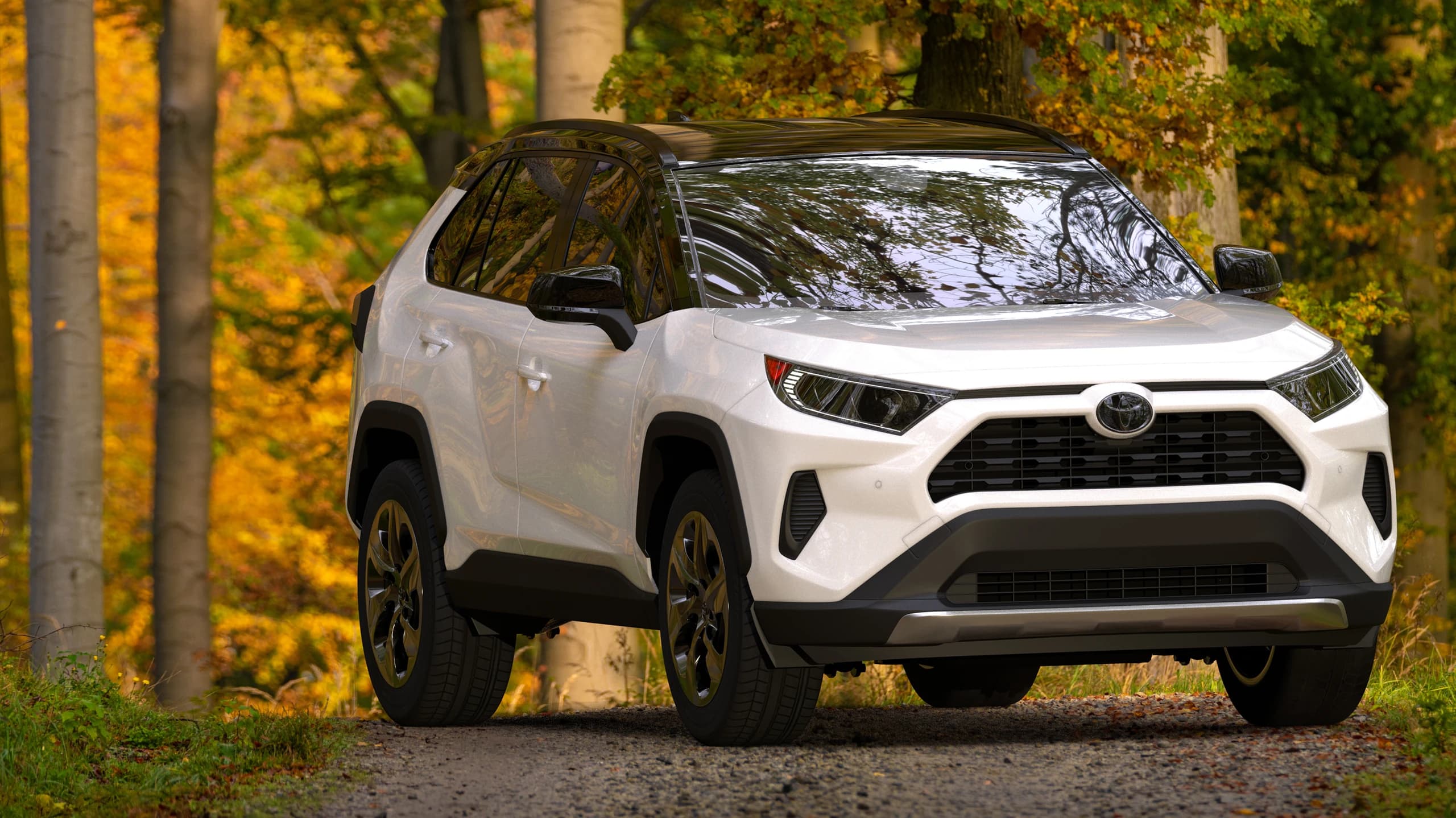 Vérification du carnet d'entretien Toyota